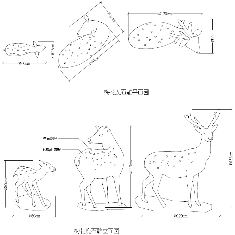 55555.png