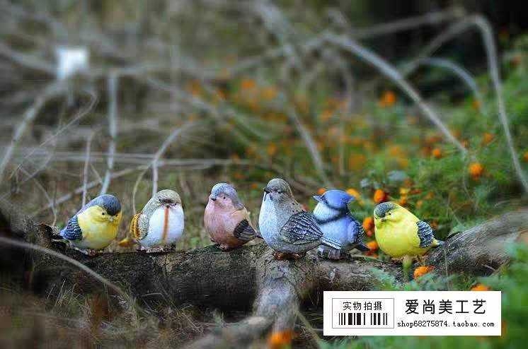 LINE_ALBUM_鳥10¥48_231113_10.jpg