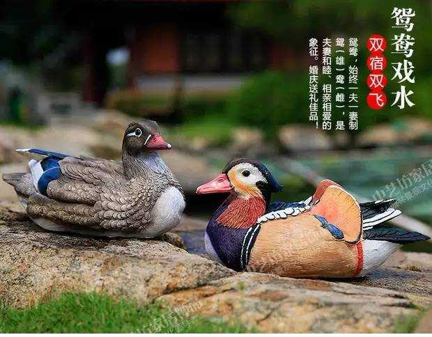 LINE_ALBUM_鳥16¥139_231113_2.jpg