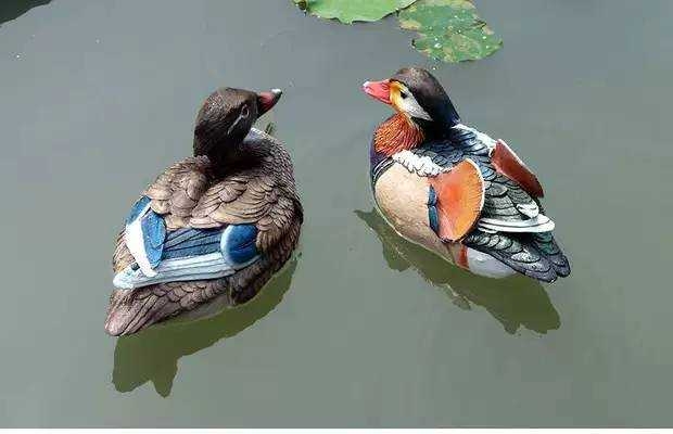 LINE_ALBUM_鳥16¥139_231113_6.jpg